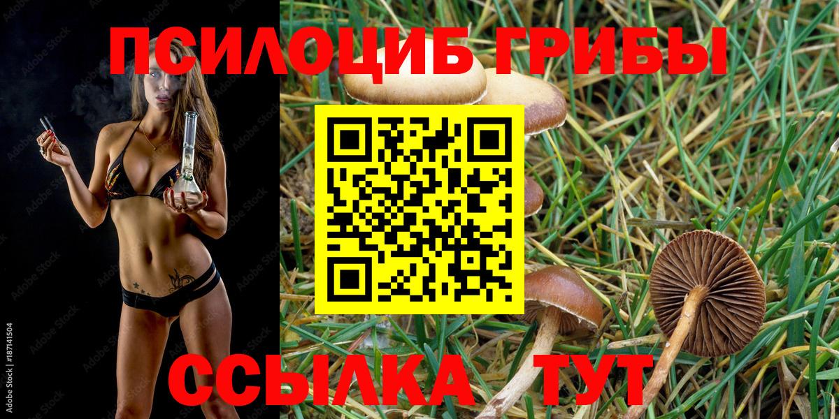 Галлюциногенные грибы Cubensis Барнаул